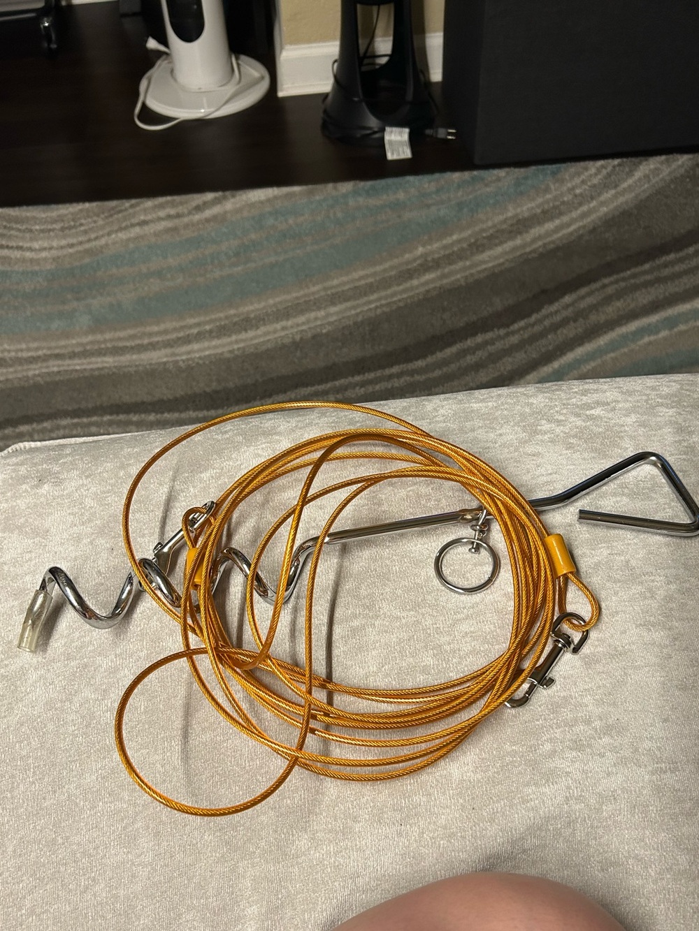 Screw-in Stake and Leash for outside dog